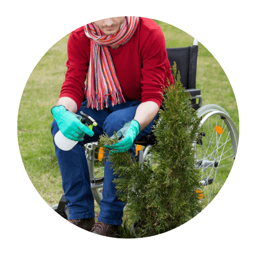 A person in a wheelchair at work in a garden